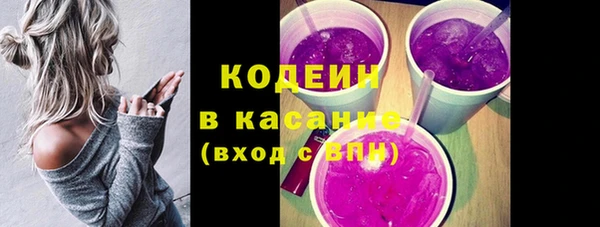 эйфоретик Бородино