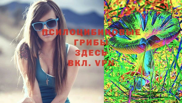ГАЛЛЮЦИНОГЕННЫЕ ГРИБЫ Богородицк