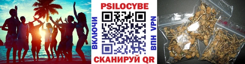 где купить наркоту  Канаш  Галлюциногенные грибы прущие грибы 